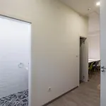 Dandelion Задар
