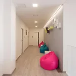 Hostel Dandelion