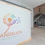 Dandelion * Zadar