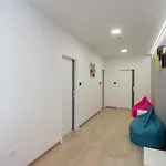 Hostel Dandelion *
