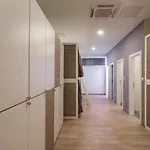 Dandelion Hostel
