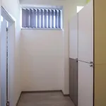 Dandelion * Задар