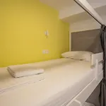 Dandelion Задар