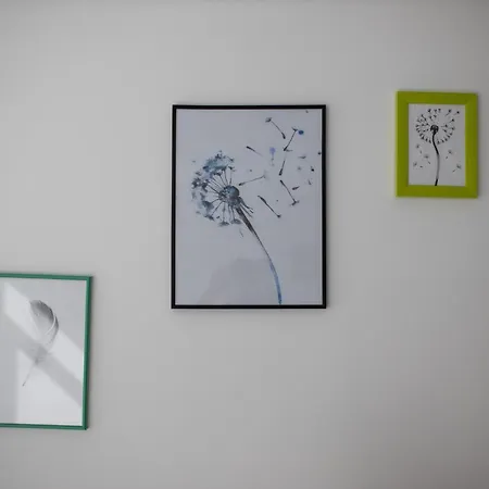 Dandelion