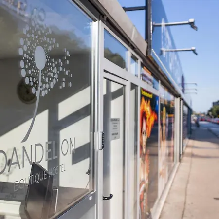 Hostel Dandelion *
