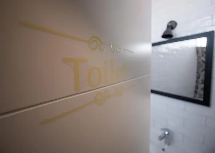 Dandelion * Задар