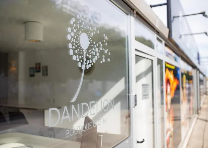 Dandelion * Задар