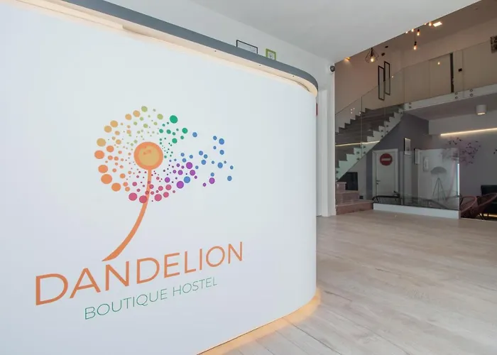 Dandelion * Задар