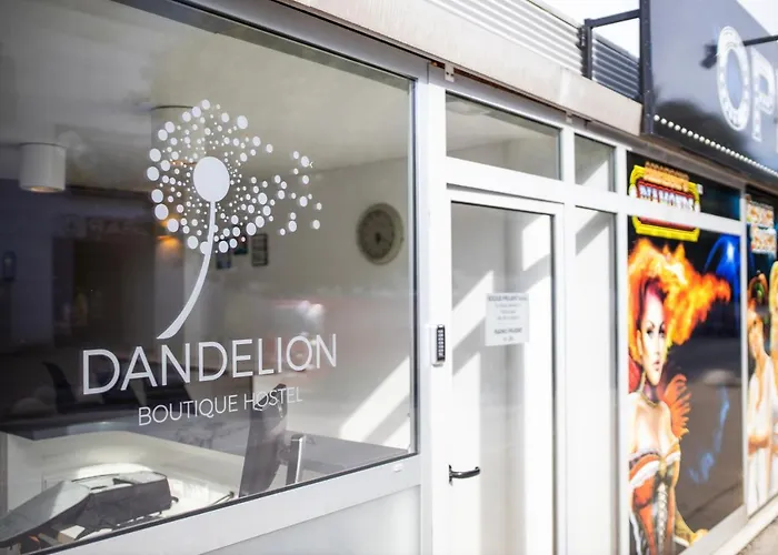 Dandelion * Задар