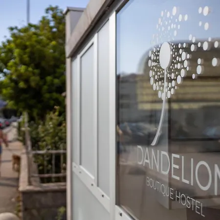 Dandelion * Ζαντάρ