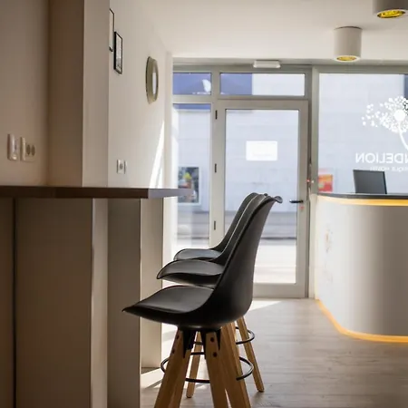 Hostel Dandelion Ζαντάρ