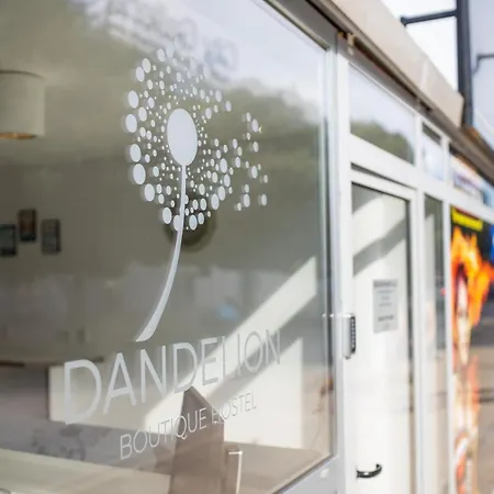 Dandelion * Ζαντάρ