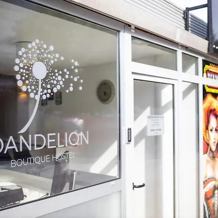 Dandelion * Ζαντάρ