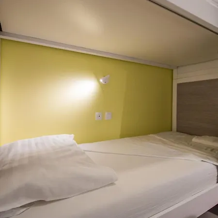 Dandelion * 자다르