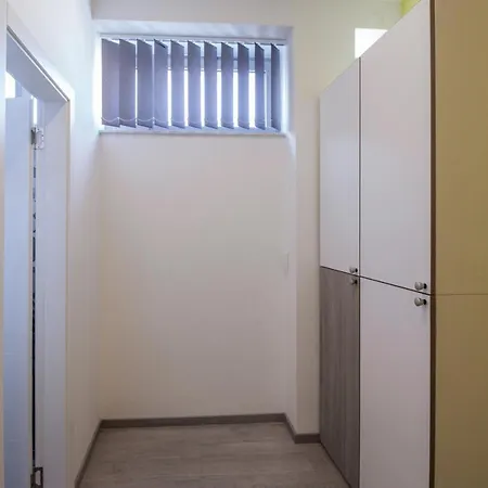 Dandelion * 자다르