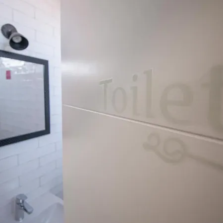 Dandelion Ζαντάρ