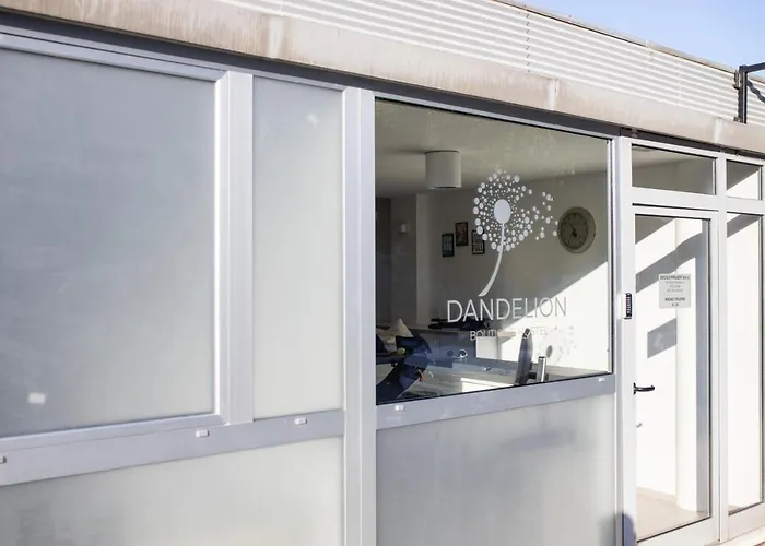 Dandelion Hostel Zadar